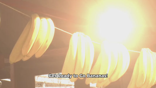 T1 Banana Taffy